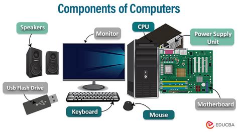 contains the central electronic components of the computer|Computer Basics: Inside a Computer .